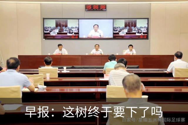 早报：这树终于要下了吗